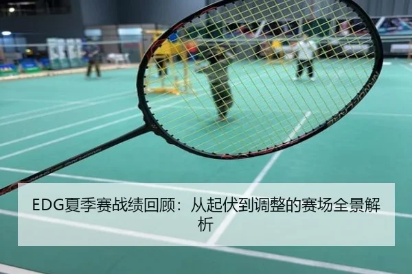 EDG夏季赛战绩回顾：从起伏到调整的赛场全景解析